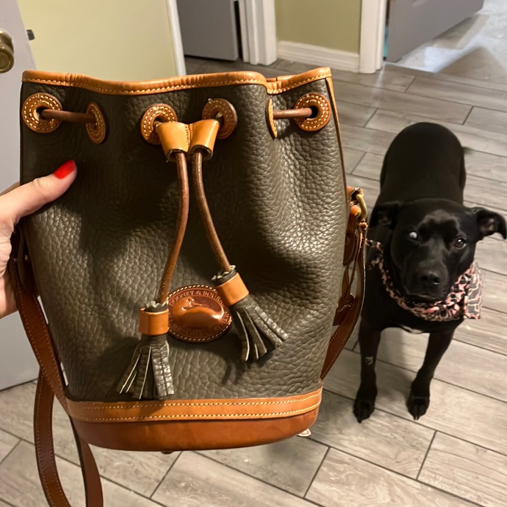 Dooney and Bourke Drawstring Real Leather Crossbody Purse Vintage Green